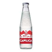 Çamlıca Gazoz 200 ML X 24 ADET