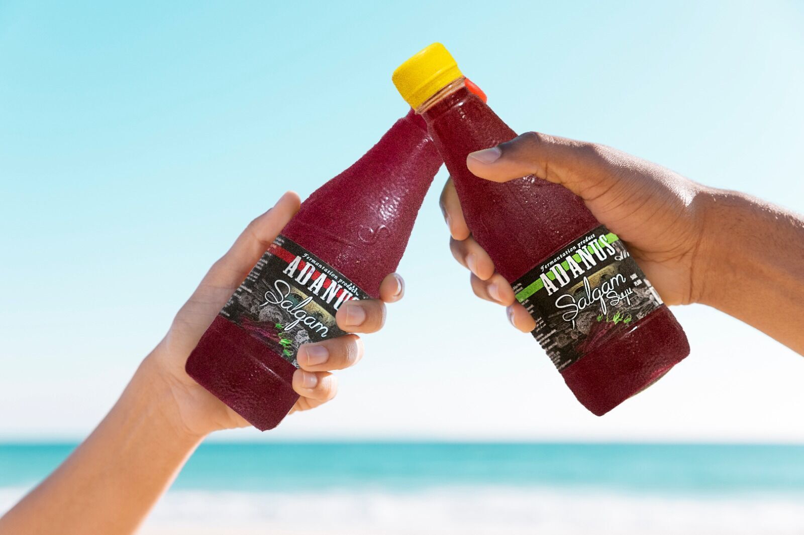 Adanus Şalgam 330 Ml Pet X 24 Adet