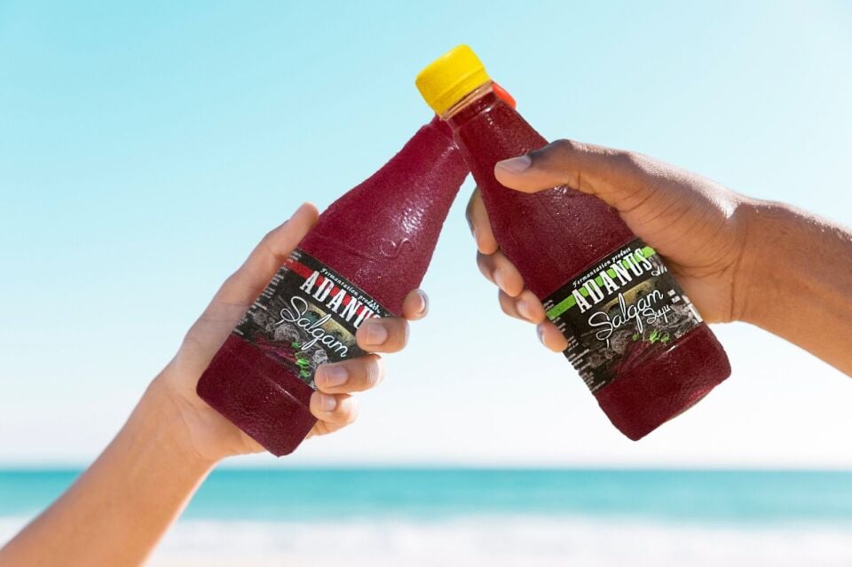 Adanus Şalgam 330 Ml Pet X 24 Adet